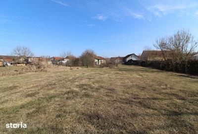 Casă cu 2 camere cu Teren 2261 Mp în Central - 11