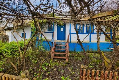 Casă individuală cu 3 camere cu Teren 7391 Mp în Gorghești - 7