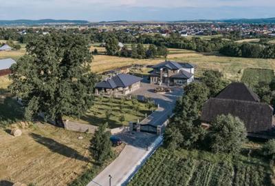 Casă cu 8 camere cu Teren 11880 Mp în Horodnic - 5