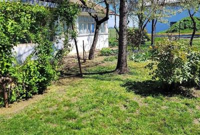 Casă cu 4 camere cu Teren 1600 Mp în Orțișoara - 3
