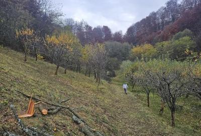 Casă cu 4 camere în Văleni-Dâmbovița - 2