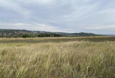 Teren extravilan de vanzare in Tileagd - 3166 mp cu panorama superba - 6