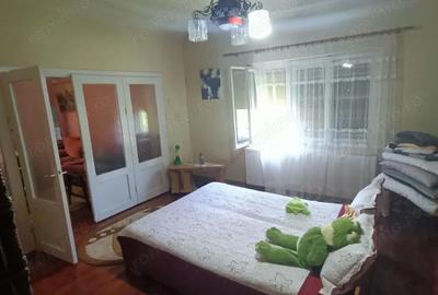 Casă cu Teren 4977 Mp în Ribița - 1