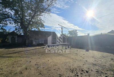 Casa cu teren in localitatea Simand - 2