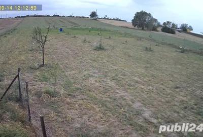 Spațiu comercial, în Sânandrei