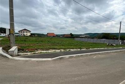 RECO teren de vanzare in zona Betfia - 4