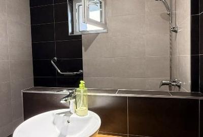 Apartament cu 2 camere semidecomandat, mobilat în Dristor - 2