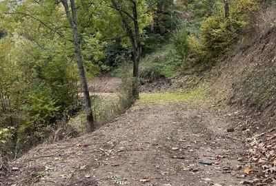 Spațiu comercial, în Dosu Bricii