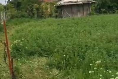 Casă cu 4 camere în Perii Broșteni - 3