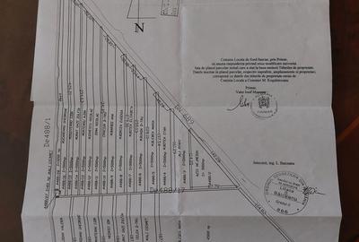 Teren de 45000 mp, în Mihail Kogălniceanu