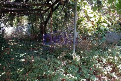 Casă cu 3 camere cu Teren 288 Mp în Eroii Revoluției - 10