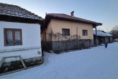 Casă cu Teren 750 Mp în Peștișani