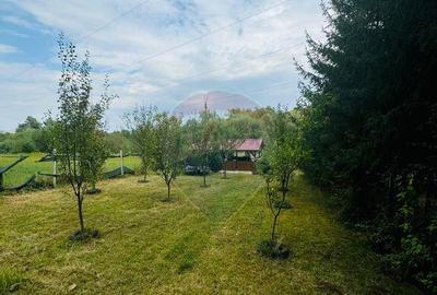 Teren Drumul Buzdului cu o cabana mica - 1
