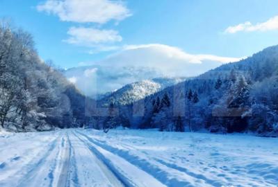 Teren în Central - 1