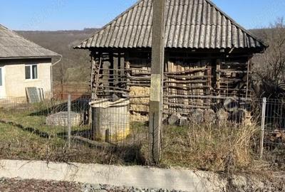 Casă cu Teren 19 Mp în Tămășești - 5