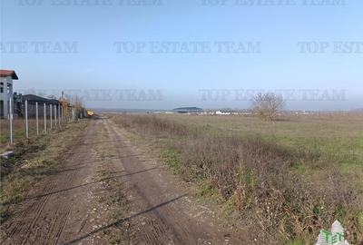 Teren agricol intravilan de 4025 mp, în Gruiu - 3