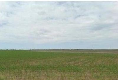 Teren extravilan Pogoanele, ID: R2586845 - 11