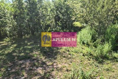 Teren de vânzare în Poiana-Câmpina - 5