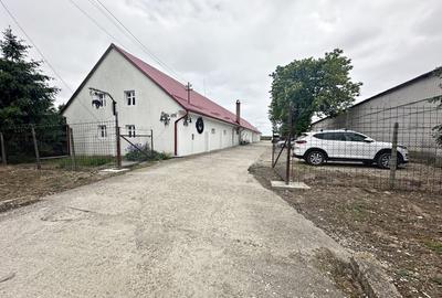 Spațiu industrial, de 1,050 mp, în Sălard - 2