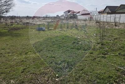 Teren Construcții intravilan de 16700 mp, în Balotești - 4