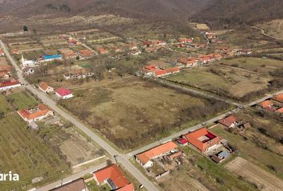 Casă cu 8 camere cu Teren 7235 Mp în Traian Vuia - 9