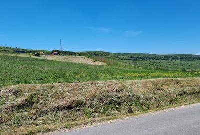 Teren extravilan de 3500 mp, în Gheorghieni - 3