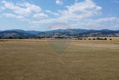 Teren Construcții intravilan de 5000 mp, în Vințu de Jos - 9