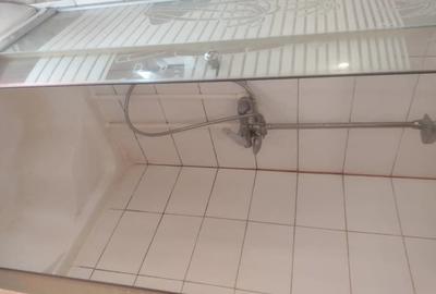Garsonieră decomandată în Basarab - 3