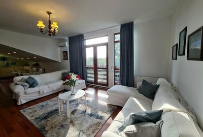 Vila + Afacere 15.000mp Clinceni - 14