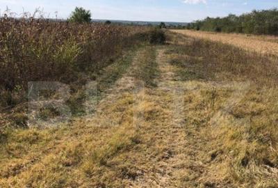 Teren 3222 mp, zona Dragomiresti - 1