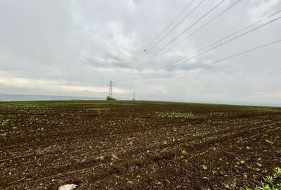 Teren agricol extravilan de 5000 mp, în Central - 2