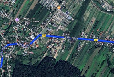 Teren Construcții intravilan de 8000 mp, în Gârlenii de Sus - 4