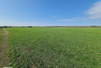 Teren de 1400 mp, în Central - 1