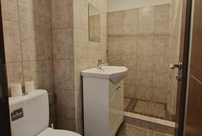 Pantelimon - Morarilor - apartament 2 camere ,modern , mobilat utilat - 10