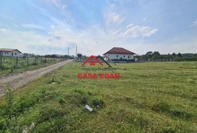 Casă cu Teren 7500 Mp în Voila - 4