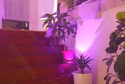 Casa renovata cu piscina ?i vedere superba spre Straja - 8