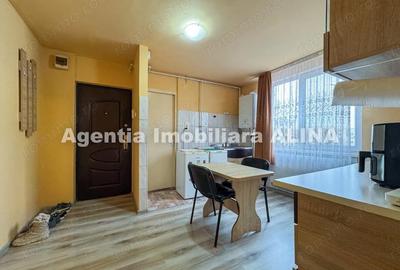 Garsonieră semidecomandată în Dacia - 9