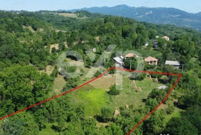 Teren în Corbeni - 10