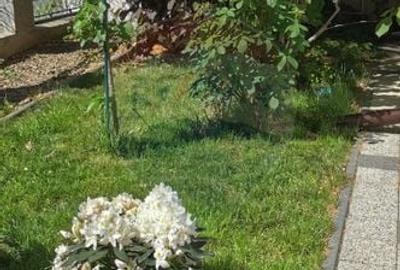 Casă cu 8 camere cu Teren 419 Mp în Cotroceni - 32