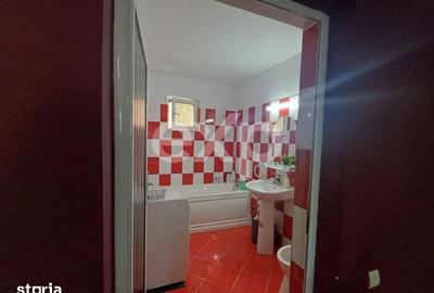 Apartament cu 2 camere semidecomandat în Bradu - 6