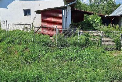 Casă cu 2 camere cu Teren 6000 Mp în Tioltiur - 4