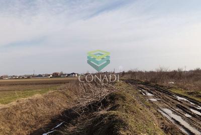 Spațiu comercial, în Tărtășești - 8