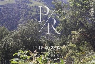 Teren Construcții extravilan de 10000 mp, în Măguri-Răcătău - 12