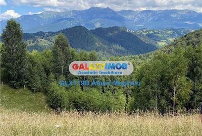 Teren de 10818 mp, în Moieciu - 3