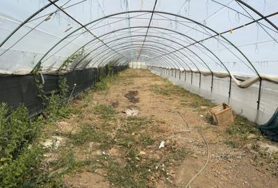 Casă cu 3 camere în Bujoreanca - 2