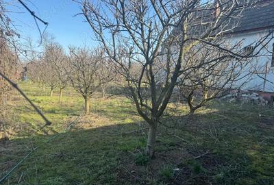 Casă cu 2 camere cu Teren 1500 Mp în Central - 5