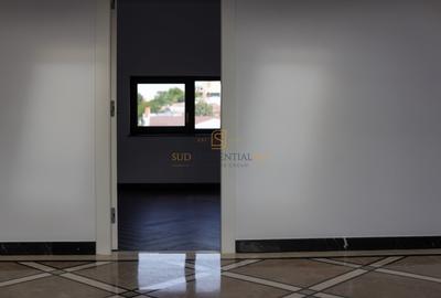 Apartament tip duplex, ideal birouri, 7 camere, Zona Parcul Carol - 11