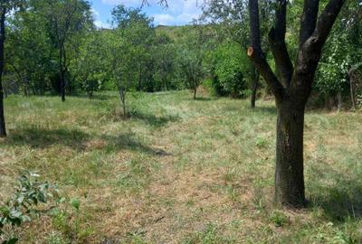 Casă cu 4 camere în Doicești - 2