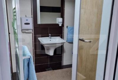 Casa individuala, 380mp, 650mp teren, zona Ipotesti - 15