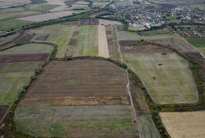 Teren agricol de 34.500mp în Albina, Județul Timiș - 6